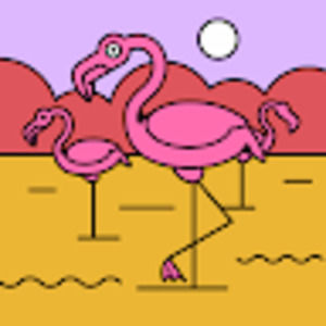 Meet your Posher, Finley